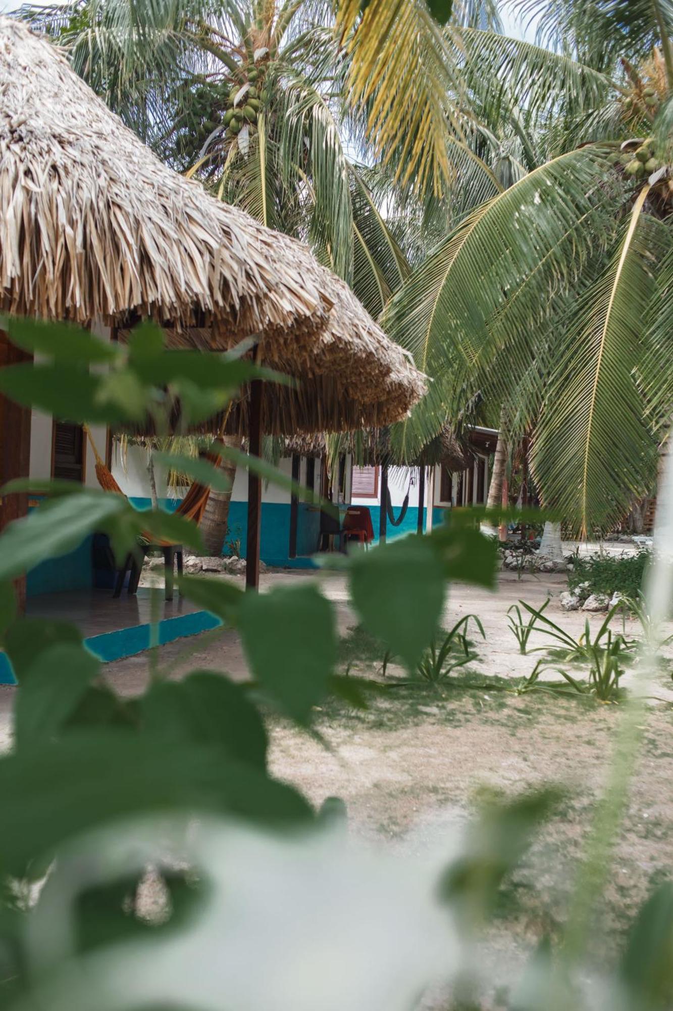 Вилла Isla Grande Eco-Hostal Экстерьер фото