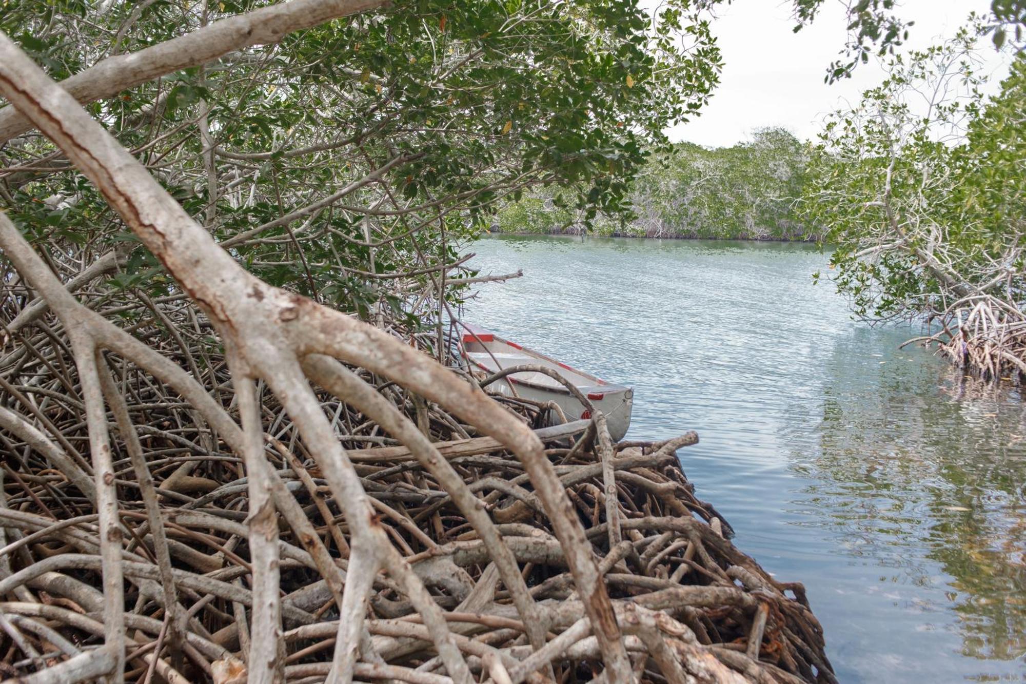 Вилла Isla Grande Eco-Hostal Экстерьер фото