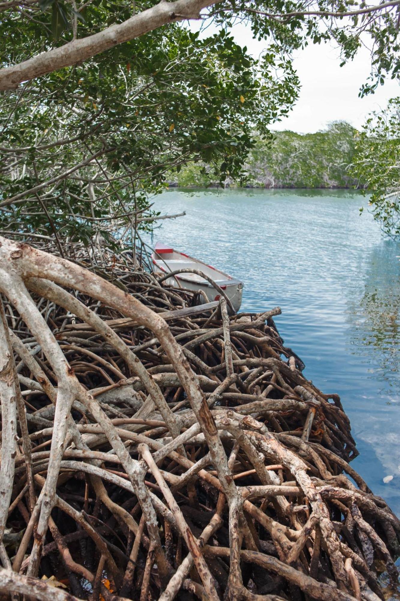 Вилла Isla Grande Eco-Hostal Экстерьер фото